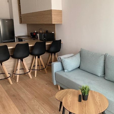 Rakowicka Modern Apartment 크라쿠프 외부 사진